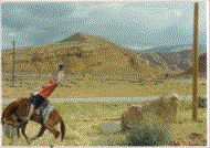 manbuckingbroncoclear.gif